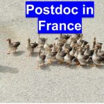 Postdoc in france