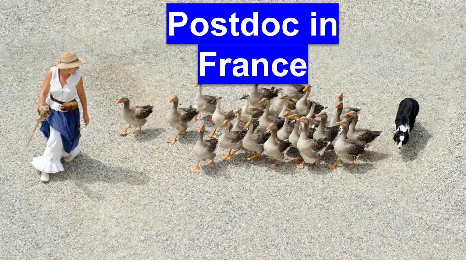 Postdoc in france