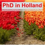phd in holland
