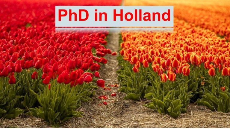 phd in holland